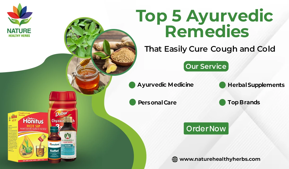 Top 5 Herbal and Ayurvedic Plants That Boost Overall Health